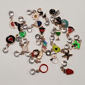 4 pcs charms. Fits in Pandora Bracelet. NWOT